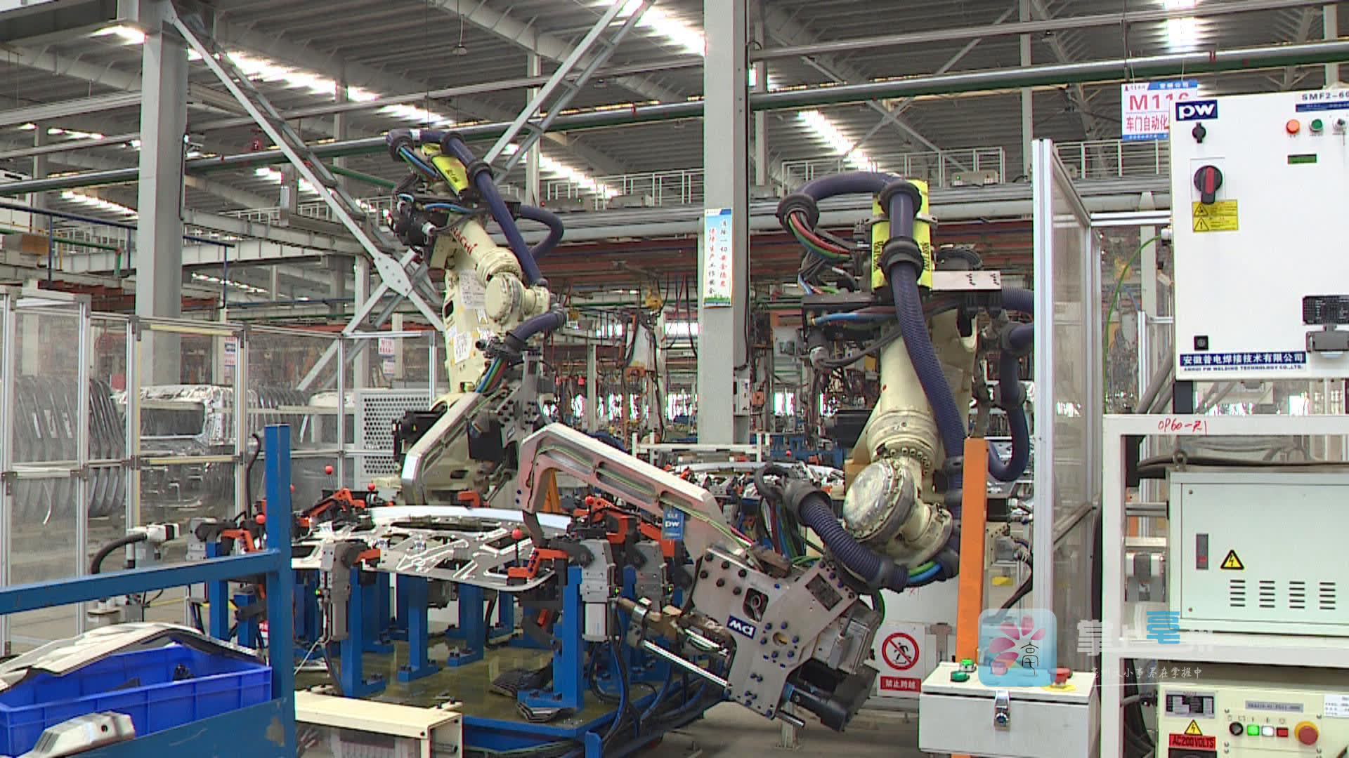 亳州中药材出口领跑全国，技术进出口双轮驱动产业升级